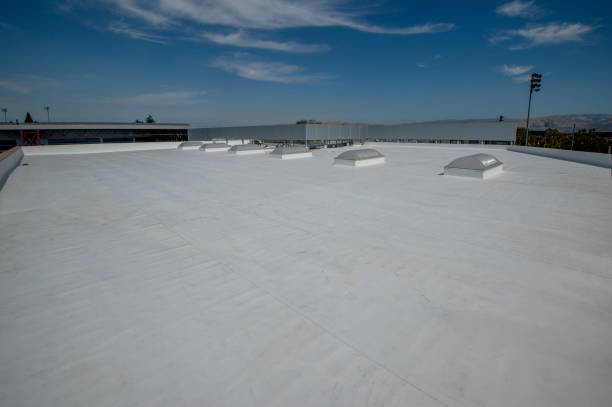 Best Steel Roofing  in Spencerport, NY