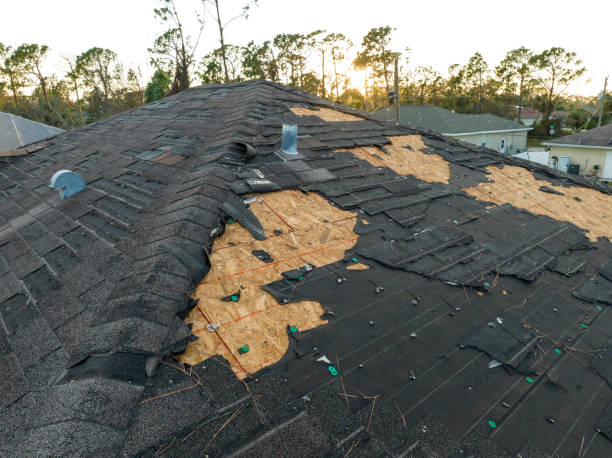 Trusted Spencerport, NY Roofing Service Experts