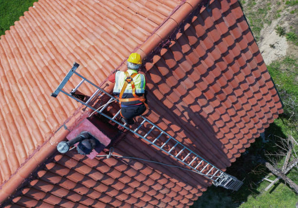 Best Roof Maintenance and Cleaning  in Spencerport, NY